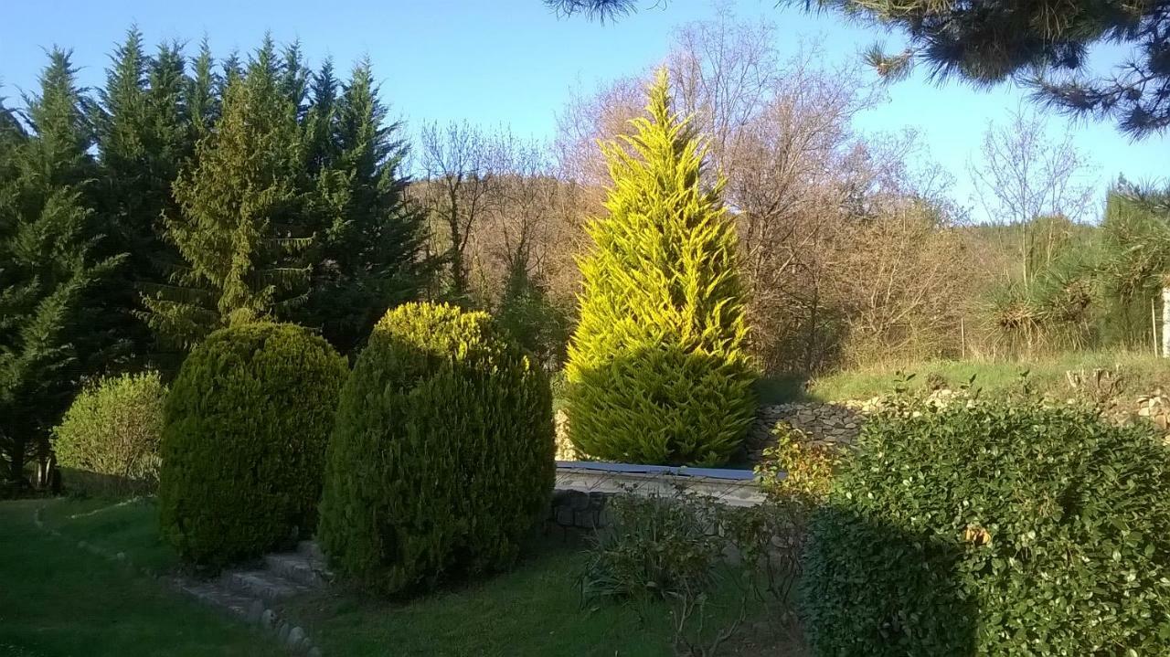 Canigou Lodge แวร์เนต์-เลส์-บานส์ ภายนอก รูปภาพ