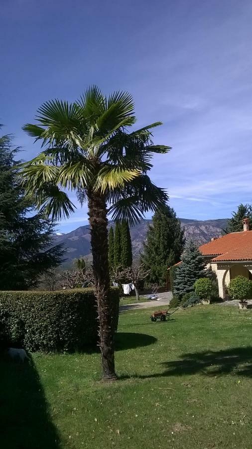 Canigou Lodge แวร์เนต์-เลส์-บานส์ ภายนอก รูปภาพ