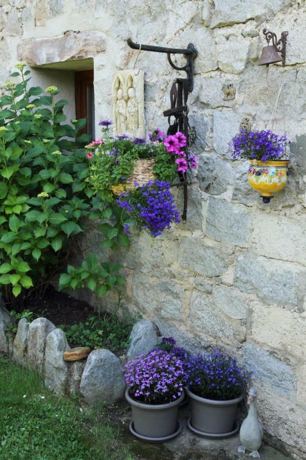 Canigou Lodge แวร์เนต์-เลส์-บานส์ ภายนอก รูปภาพ